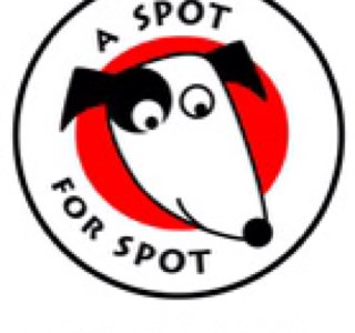 Spot Walks Dog Day Care 