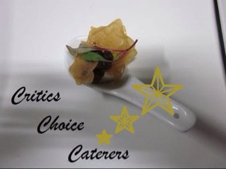 Critics Choice Caterers